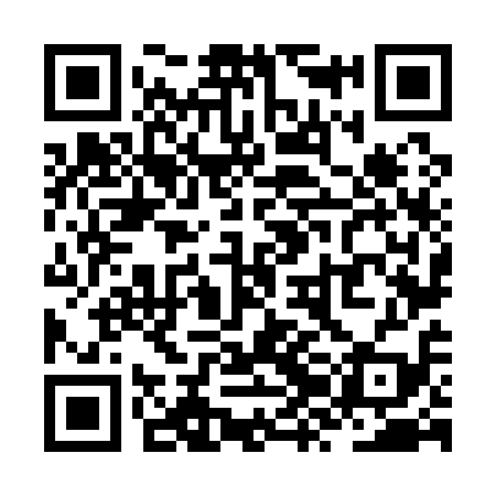 QR code for ZZN119