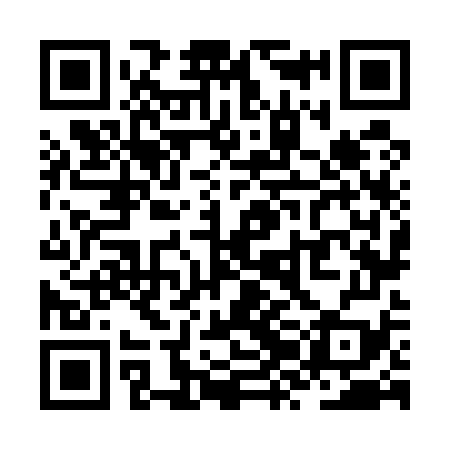 QR code for ZZN579