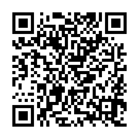 QR code for ZZN595