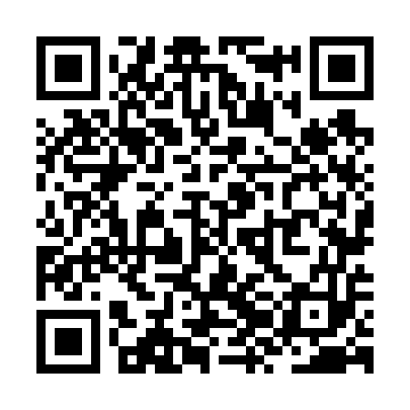 QR code for ZZN653