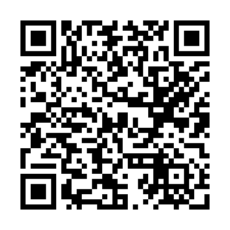 QR code for ZZN951