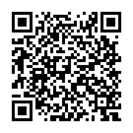 QR code for ZZO156