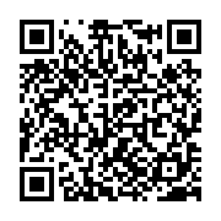 QR code for ZZO295