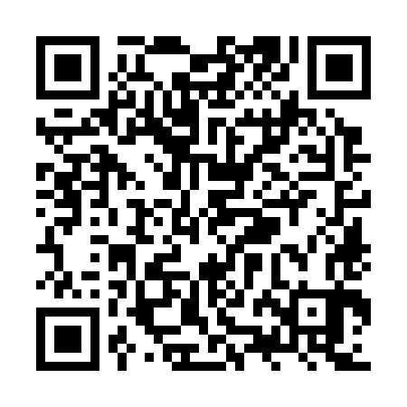 QR code for ZZO383