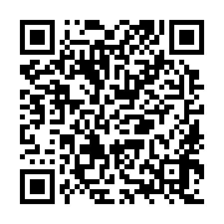 QR code for ZZO398