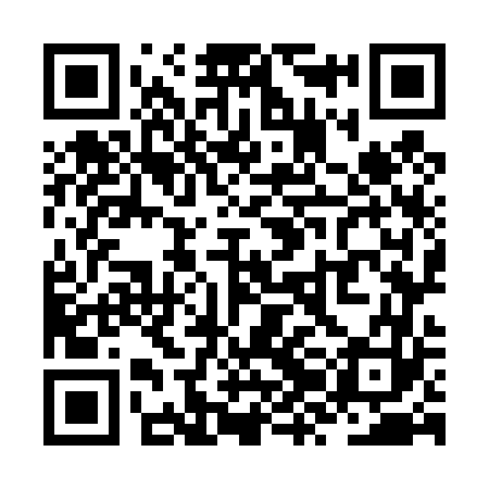 QR code for ZZO463