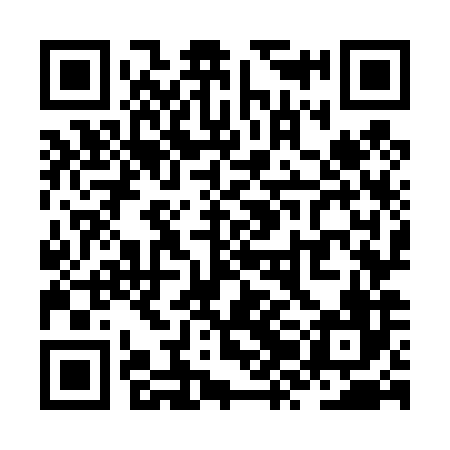 QR code for ZZO486