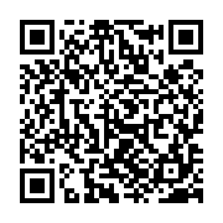 QR code for ZZO594