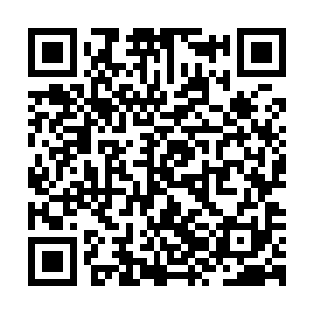 QR code for ZZO991