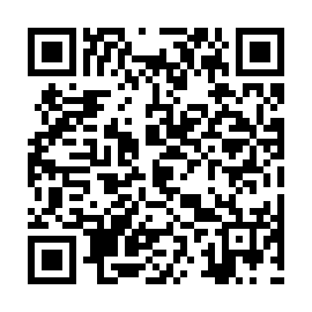 QR code for ZZP256