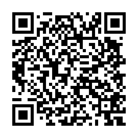 QR code for ZZP408