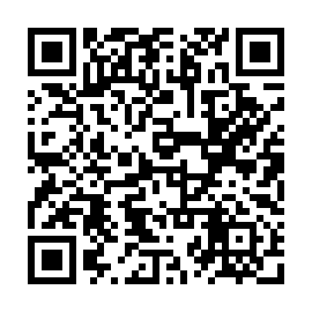 QR code for ZZP591