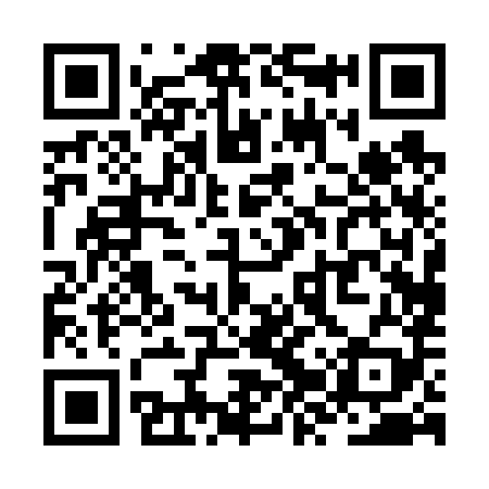 QR code for ZZP689