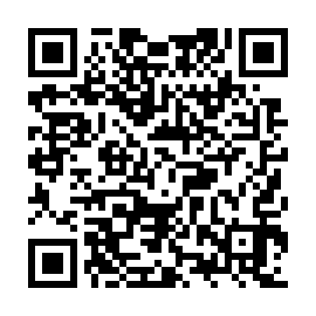 QR code for ZZP713