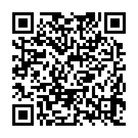 QR code for ZZR399