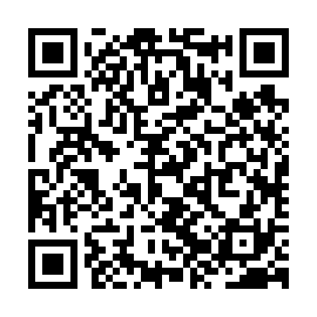 QR code for ZZR630