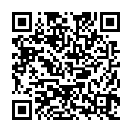 QR code for ZZR700