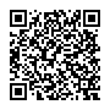 QR code for ZZS551