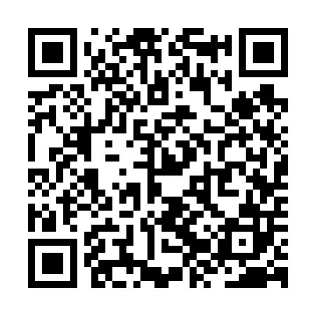 QR code for ZZS602
