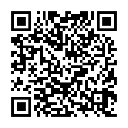 QR code for ZZS909