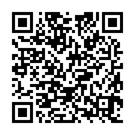 QR code for ZZS980