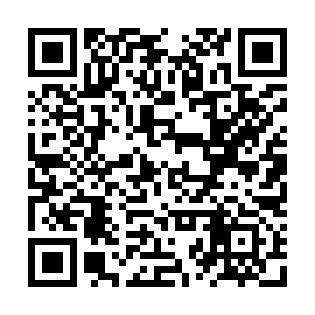 QR code for ZZT993