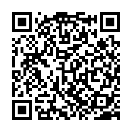 QR code for ZZU379