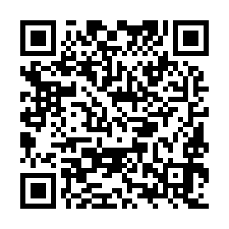 QR code for ZZU993