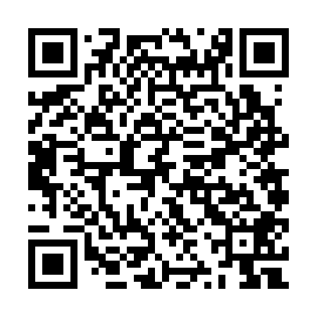 QR code for ZZV308