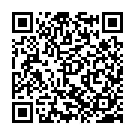 QR code for ZZV320