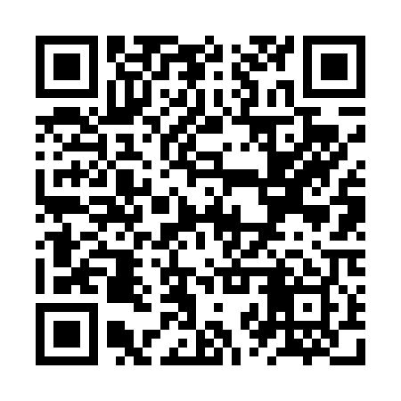 QR code for ZZV409