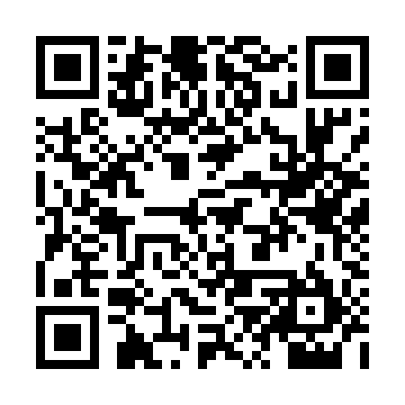 QR code for ZZW595