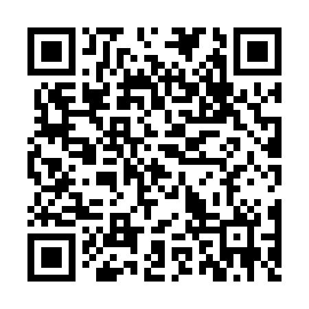 QR code for ZZX020