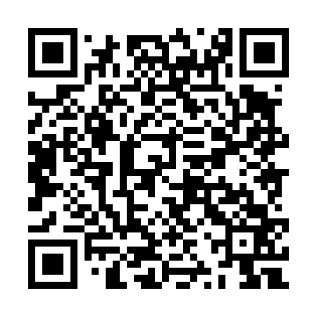 QR code for ZZX463
