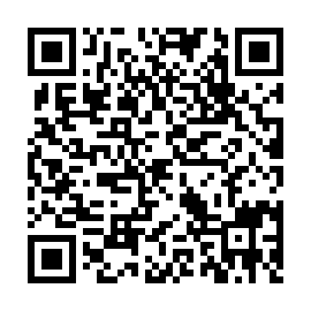 QR code for ZZX499