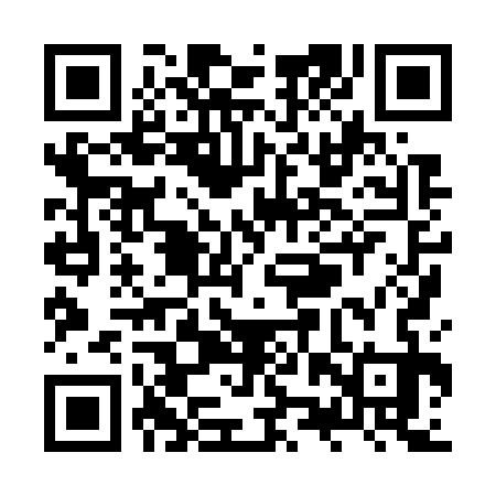 QR code for ZZX733