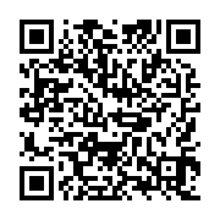 QR code for ZZX811