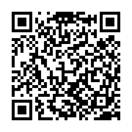 QR code for ZZY473