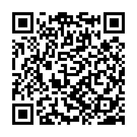 QR code for ZZY538