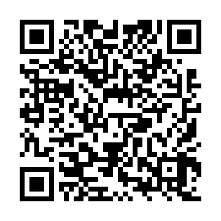 QR code for ZZY608