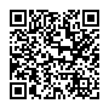 QR code for ZZY910