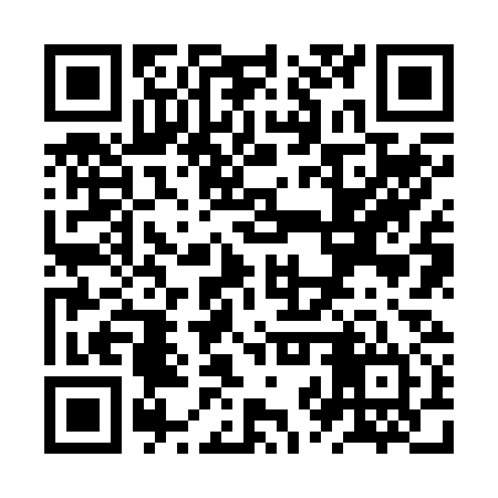 QR code for ZZZ234