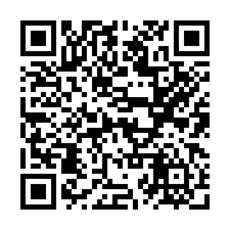 QR code for ZZZ384