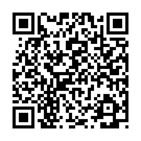QR code for ZZZ495