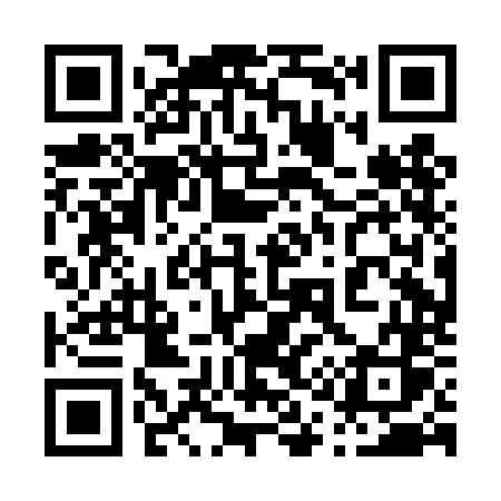 QR code for 010DNS
