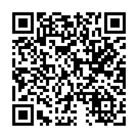QR code for 010ICM