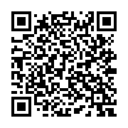 QR code for 038ZDM