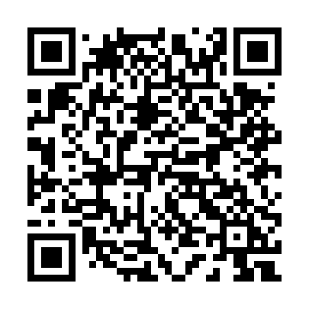 QR code for 041DPI