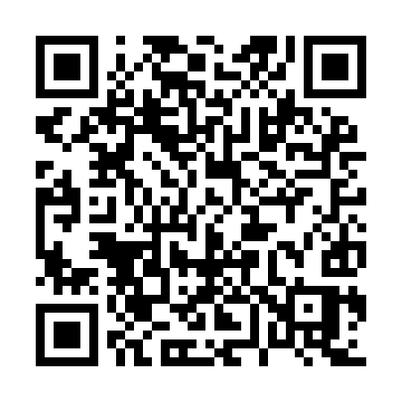 QR code for 063IIS
