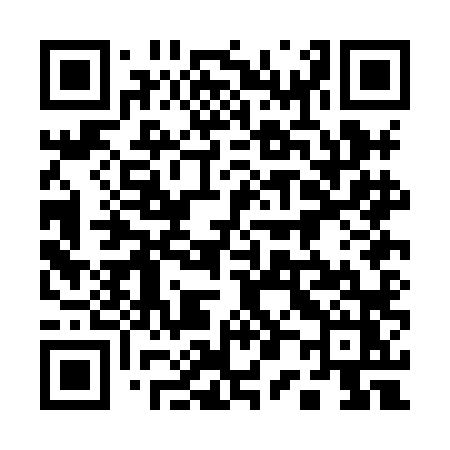 QR code for 100HLZ